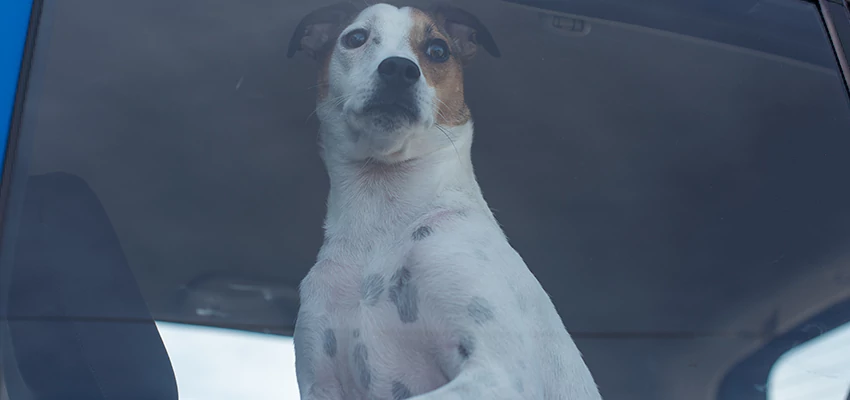 Car Lockout Solutions in Clovis, California